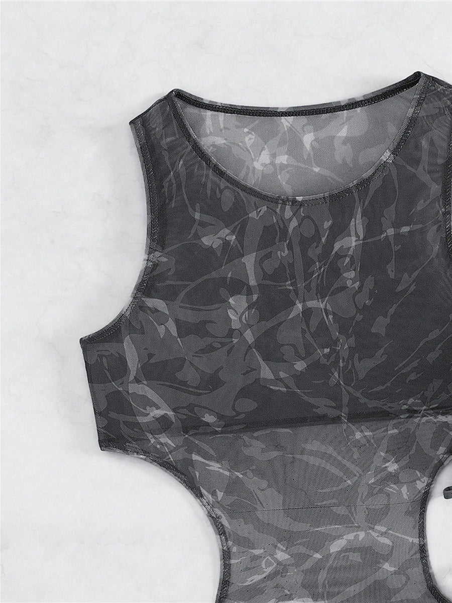 Sheer Mesh Cutout Swimsuit Dress