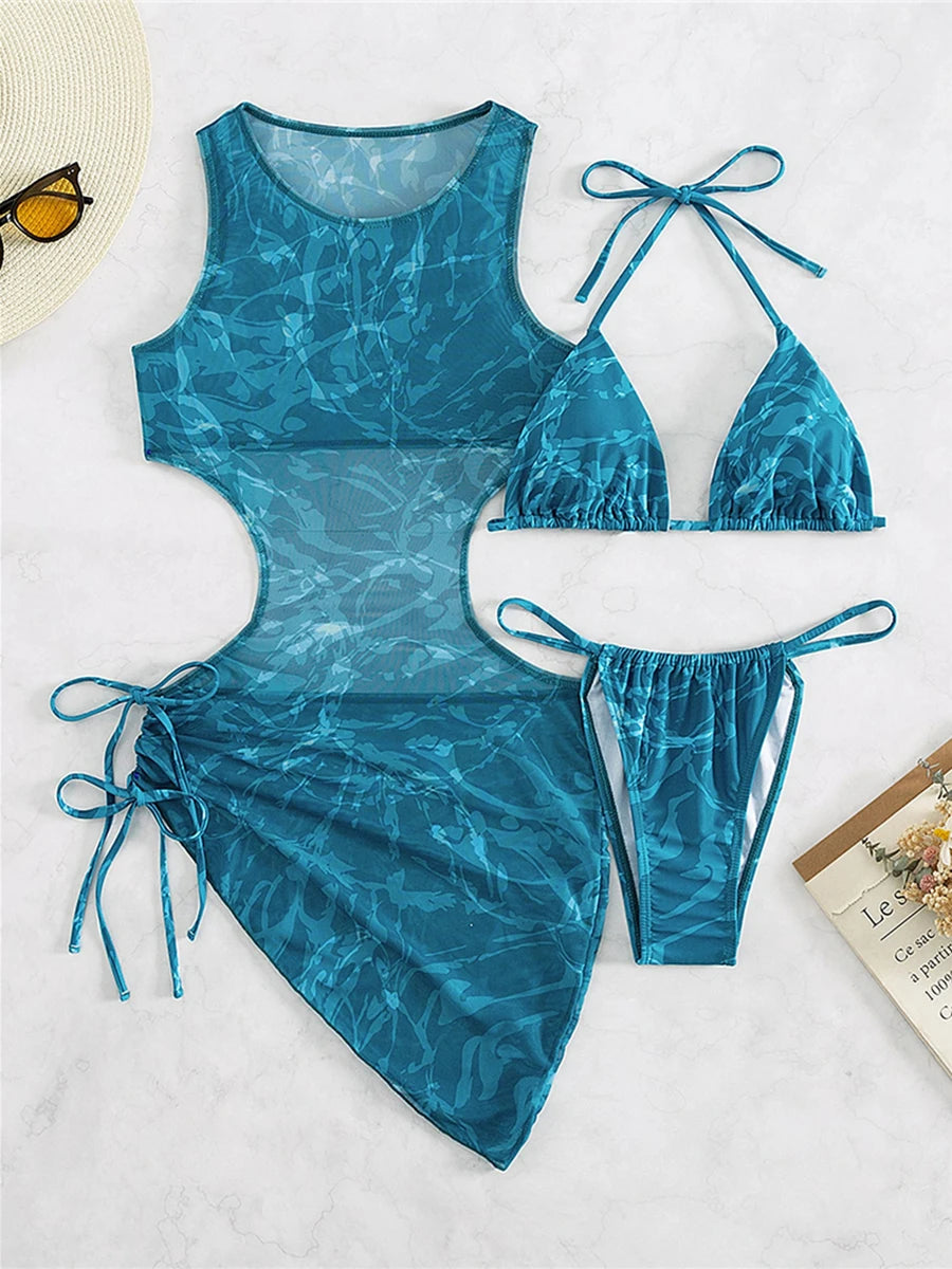 Sheer Mesh Cutout Swimsuit Dress